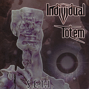 Implicate Order by Individual Totem
