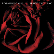 Burn Down This Town by Rosanne Cash