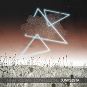I Hate You by Junksista