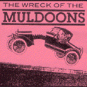 Bottomless Town by The Muldoons