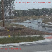 Is This Really Where You're Supposed To Be?