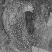 CURSED LIFETIME AUDIO TORTURE "SERPENTHEAD"