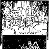 Asses to Ashes