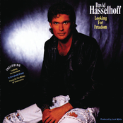 David Hasselhoff: Looking for Freedom
