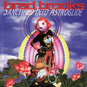 Brad Brooks: Sanctified Into Astroglide
