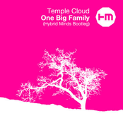 One Big Family (Hybrid Minds Bootleg)