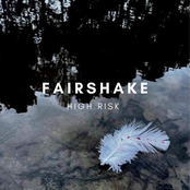 Fairshake: High Risk