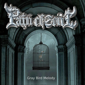 Gray Bird Melody
