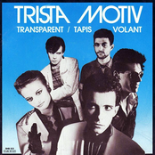 Transparent/Tapis Volant