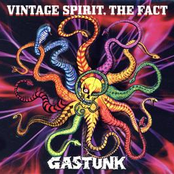 VINTAGE SPIRIT, THE FACT -Standard Edition-