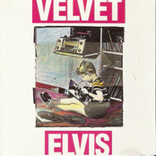 Privilege by Velvet Elvis