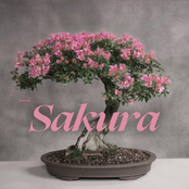 Sakura EP
