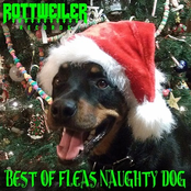 Best Of Fleas Naughty Dog