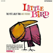 Little Bird
