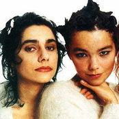 Björk & Pj Harvey