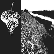 Büfo / Warkorpse split