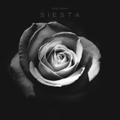 Siesta