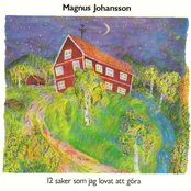 Hon Kommer Hem by Magnus Johansson