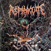 Torso Putrefaction by Asphyxiate