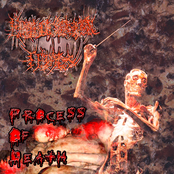 Process Of Death