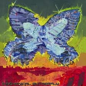 Mechanical Butterfly (EP2008)