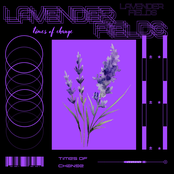 Lavender Fields