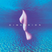 Go Up Stream by Dimension