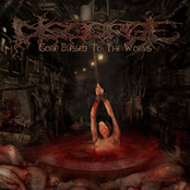 I Watch Myself Rot by Disgorge