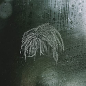 Walking June in the Rain