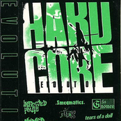 Hardcore Evolution 12'' lp