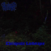 Therapeutic Landscapes