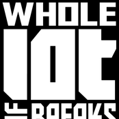 A Whole Lot Of Breaks