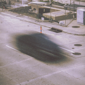 Feverest: Noma / Lurk