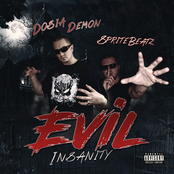Evil Insanity
