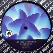 Keep My Cool by Lee Foss