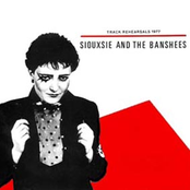 Captain Scarlet by Siouxsie And The Banshees