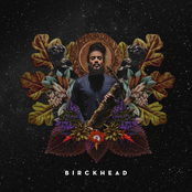 Brent Birckhead: Birckhead