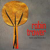 Hound Dog by Robin Trower