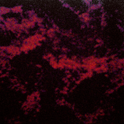 Last Blood Into Soil