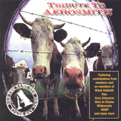 Not the Same Old Song and Dance: A Tribute to Aerosmith