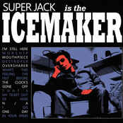 Icemaker