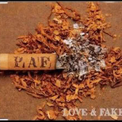 Love & Fake