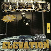 Elevation