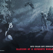 Illusion of a Separate World