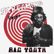 Big Youth: Screaming Target