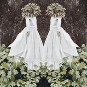 Bed Down In The Murk