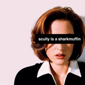 Scully Is a Sharkmuffin