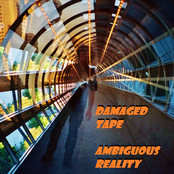 Ambiguous Reality