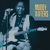 33 Years by Muddy Waters