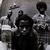 the roots